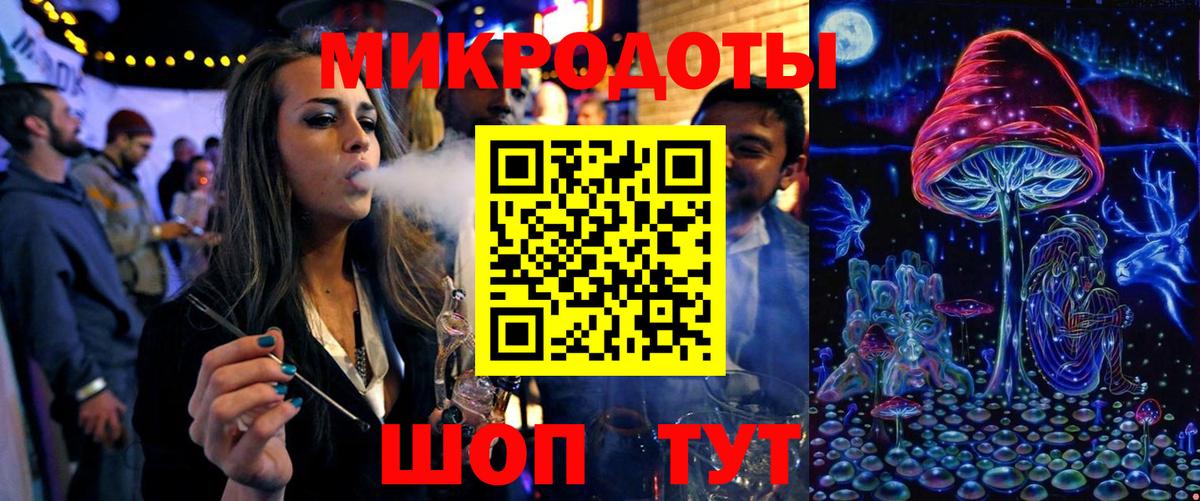 Псилоцибиновые грибы Psilocybe Орехово-Зуево