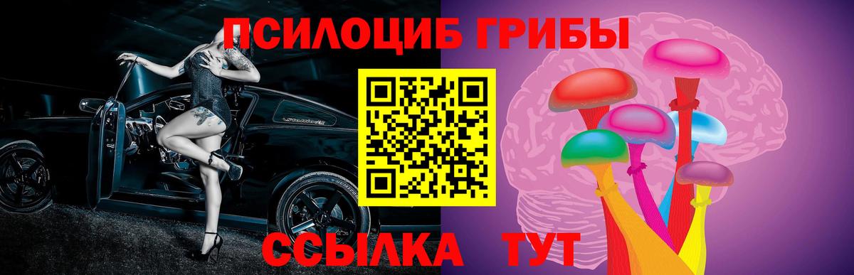 Орехово-Зуево  Псилоцибиновые грибы MAGIC MUSHROOMS  магазин  наркотиков  Псилоцибиновые грибы Cubensis  Вход с VPN 